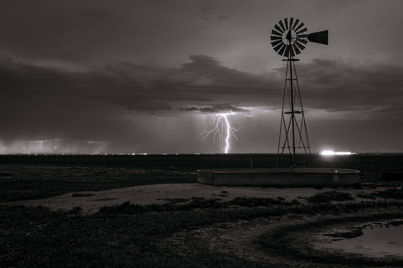 Sentinels Of the South Plains