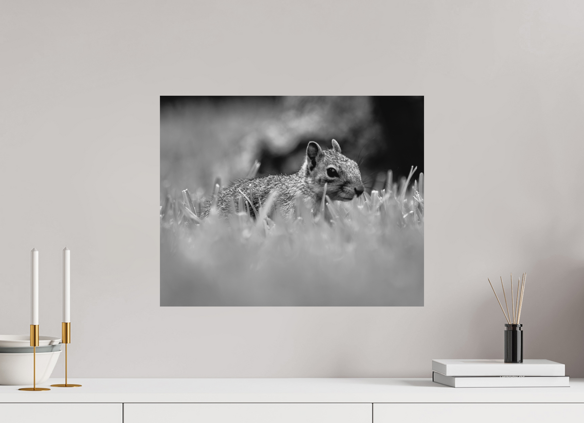 20 x 16″, Small Citizens Through the Grass