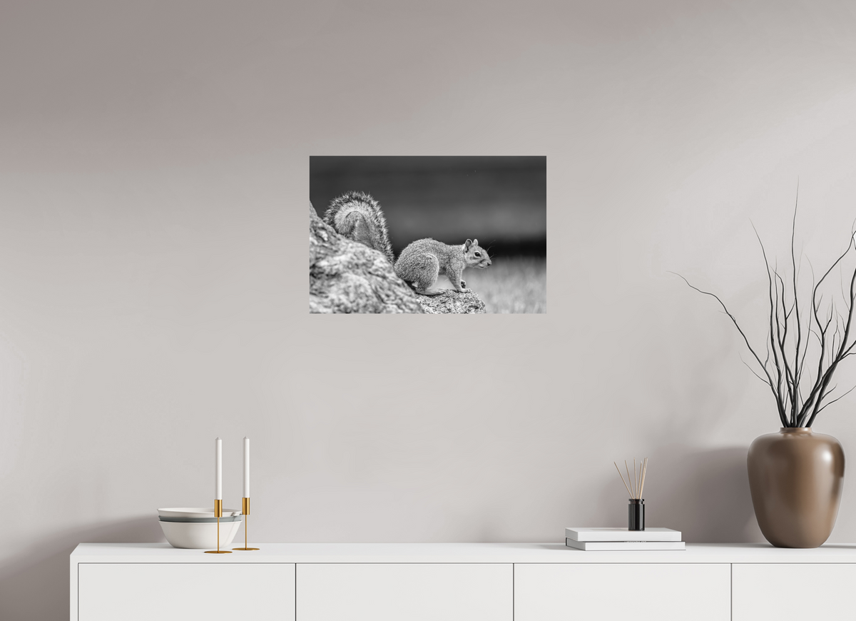 24 x 16″, Small Citizens Higher Ground