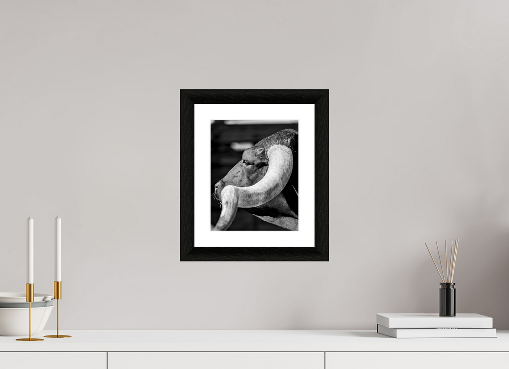 8 x 10″, B&W Print Inheritance