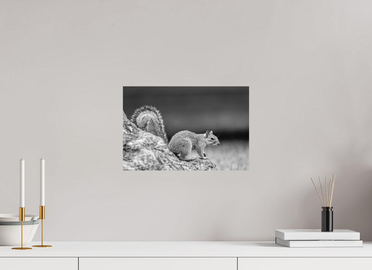 15 x 10″, Small Citizens Higher Ground
