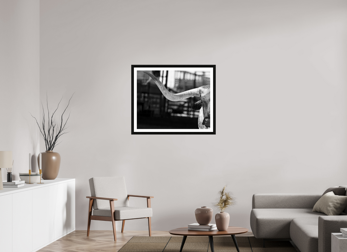 35 x 28″, B&W Print The Guardian