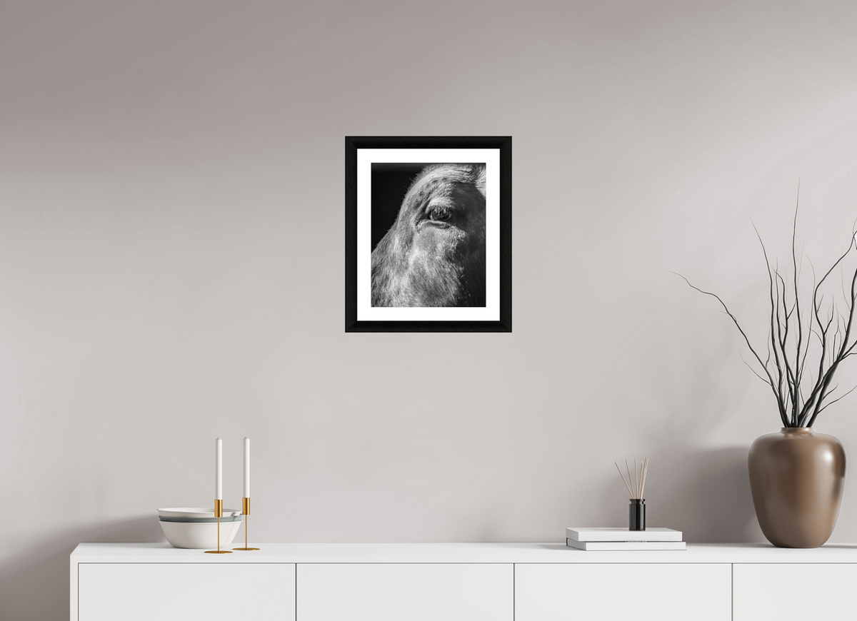 12 x 15″, B&W Print Old Blood