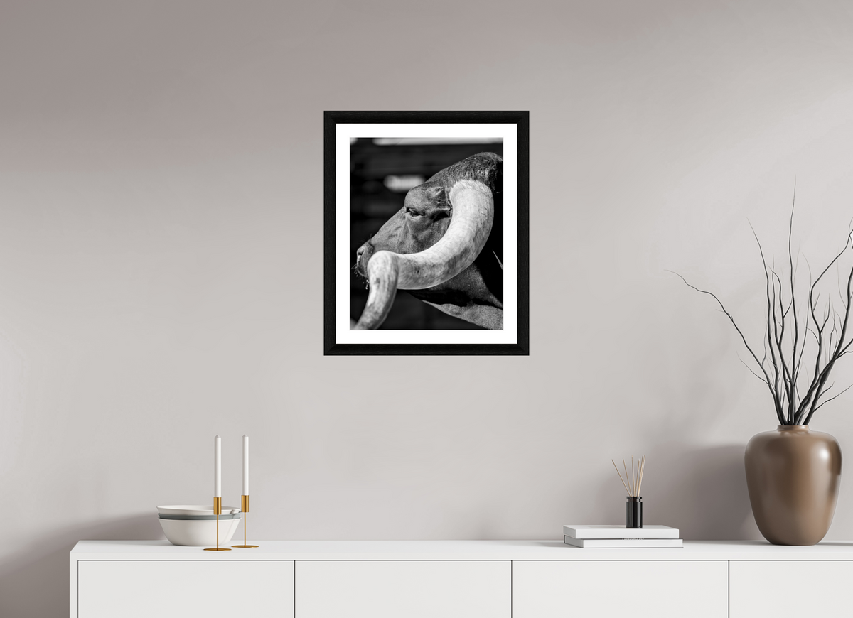 16 x 20″, B&W Print Inheritance