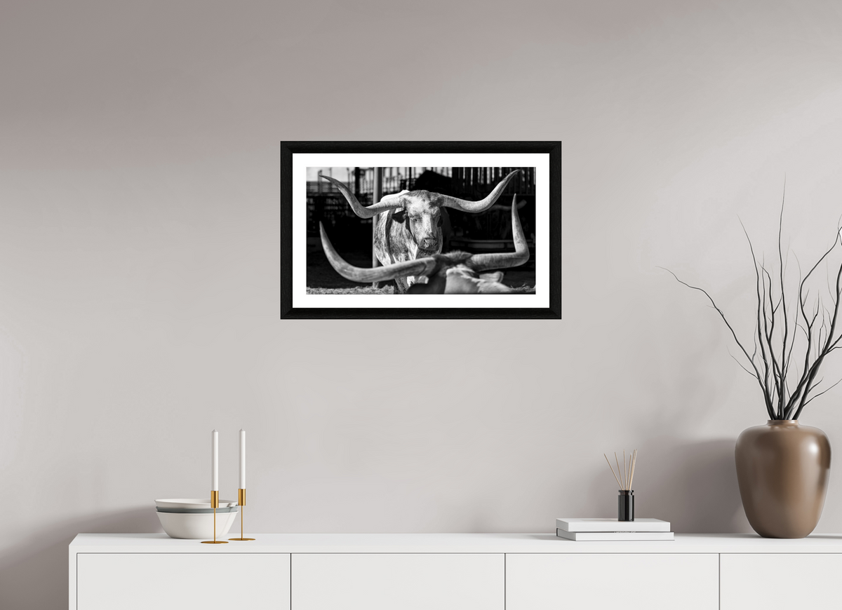 24 x 13.5″, B&W Print The Old Breed