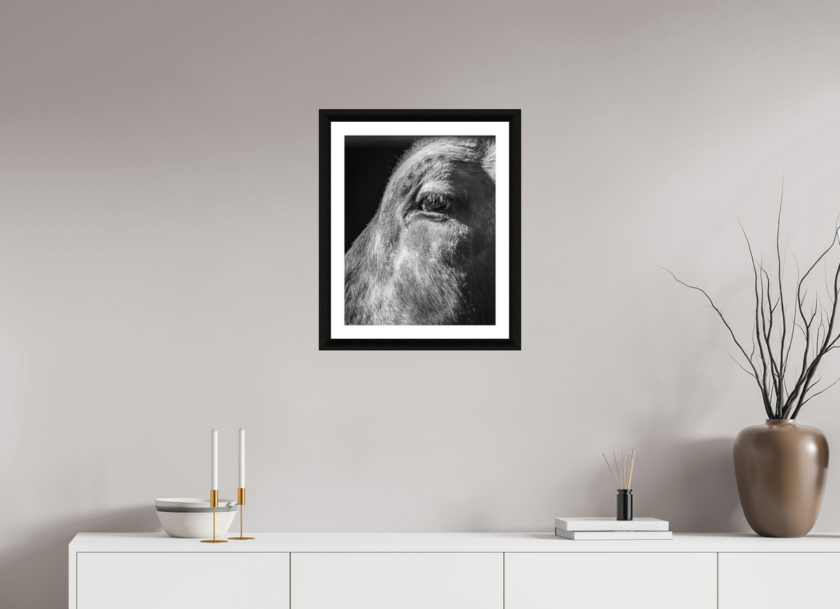 16 x 20″, B&W Print Old Blood