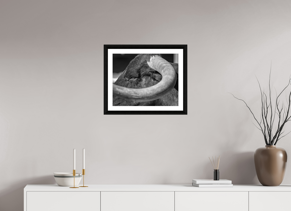 20 x 16″, B&W Print Beneath the Crown