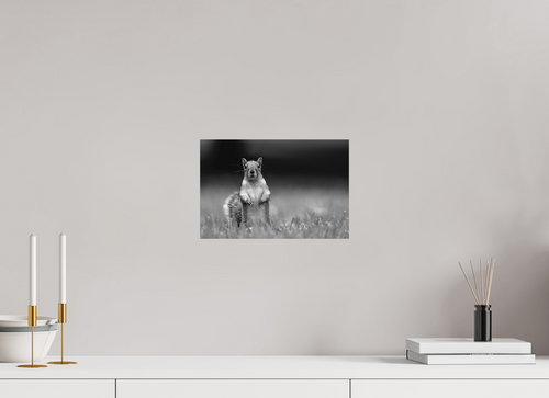 12 x 8″, Small Citizens Standing Watch