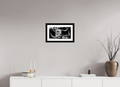16 x 9″, B&W Print The Old Breed