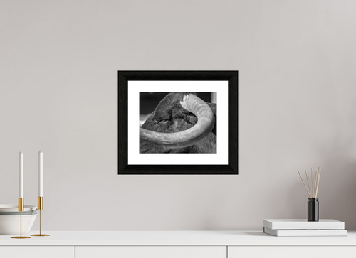 10 x 8″, B&W Print Beneath the Crown