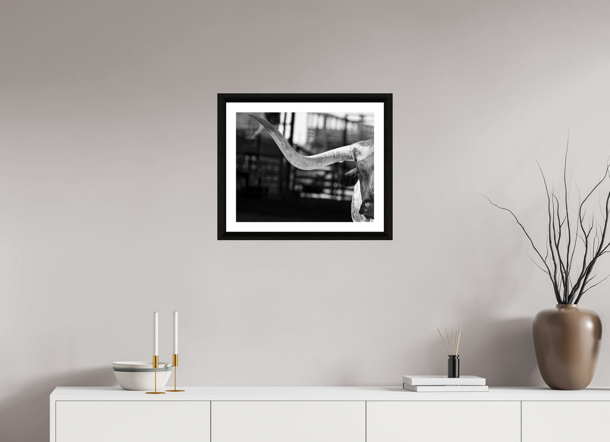 20 x 16″, B&W Print The Guardian