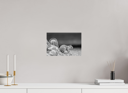 12 x 8″, Small Citizens Higher Ground