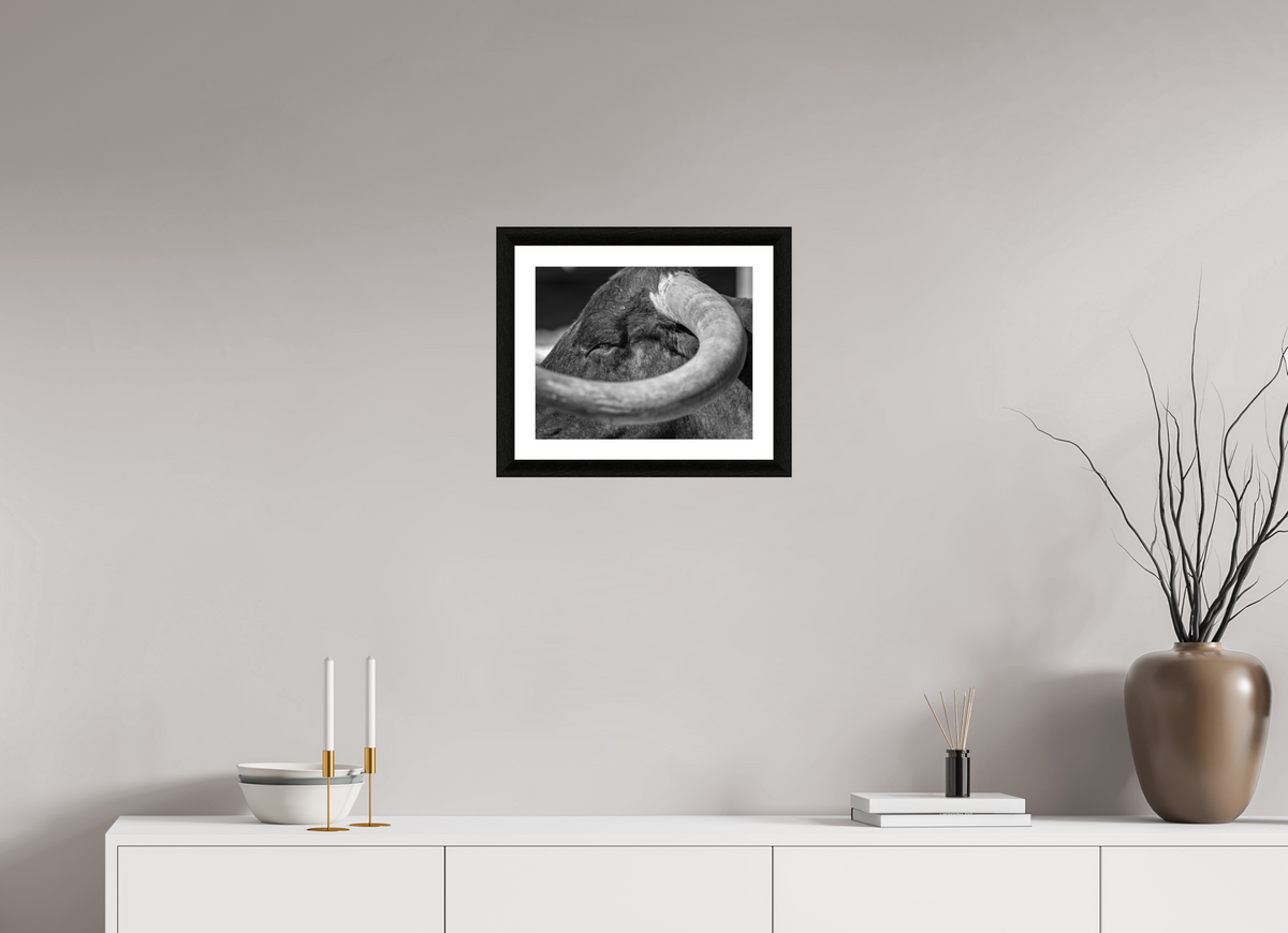 15 x 12″, B&W Print Beneath the Crown