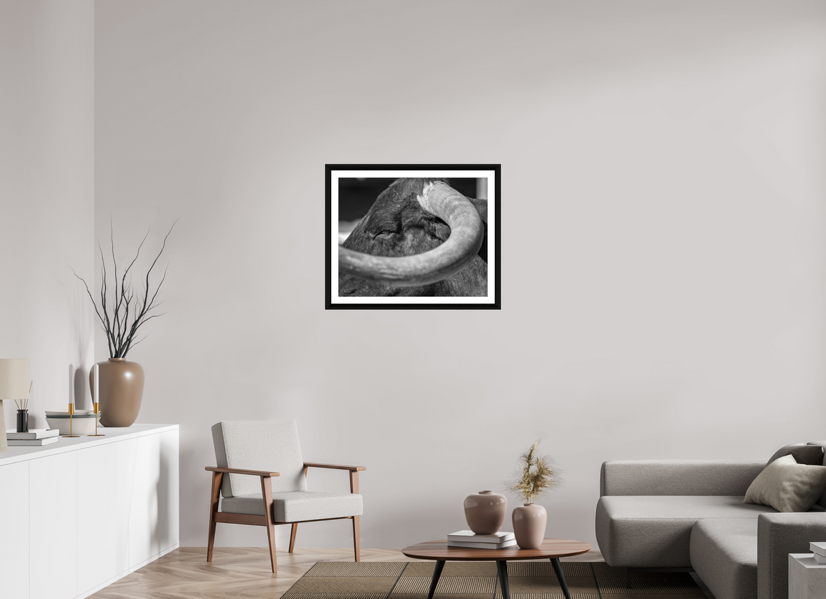 30 x 24″, B&W Print Beneath the Crown