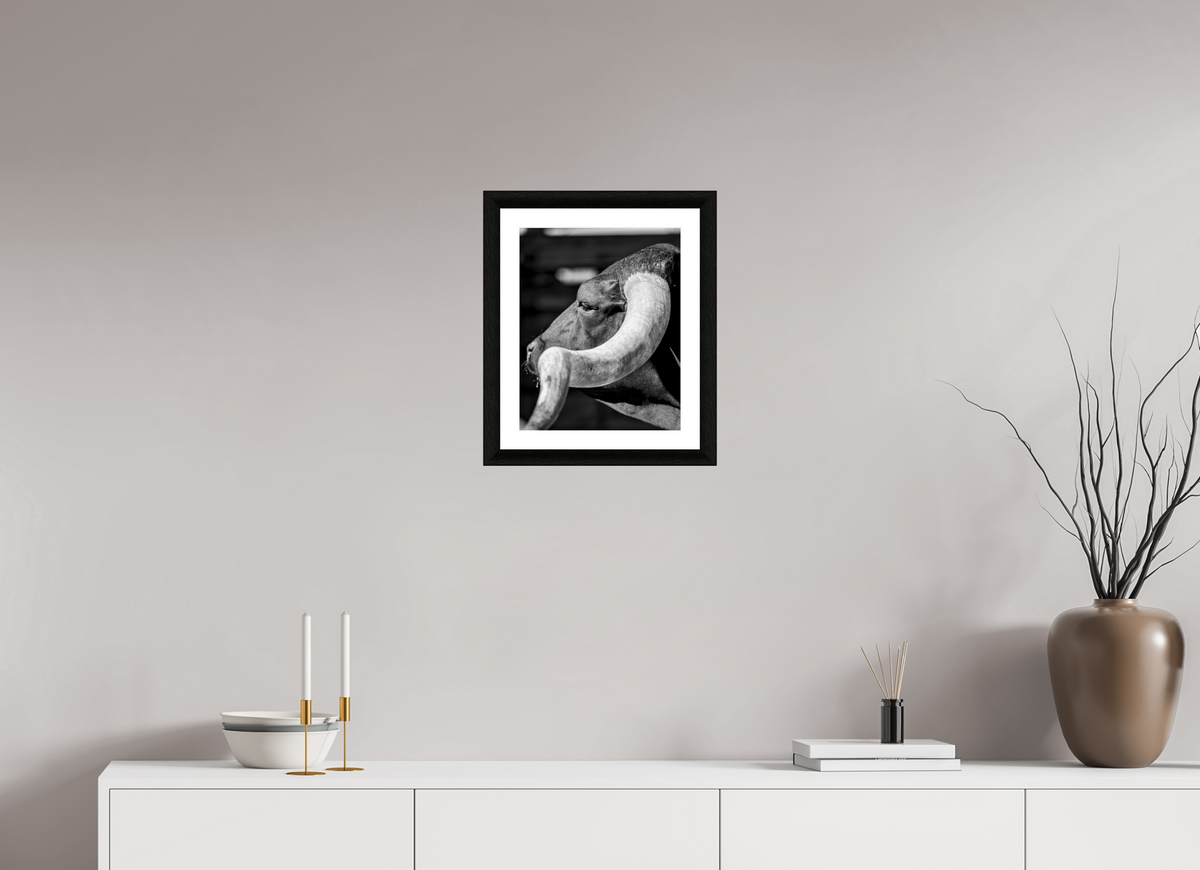 12 x 15″, B&W Print Inheritance