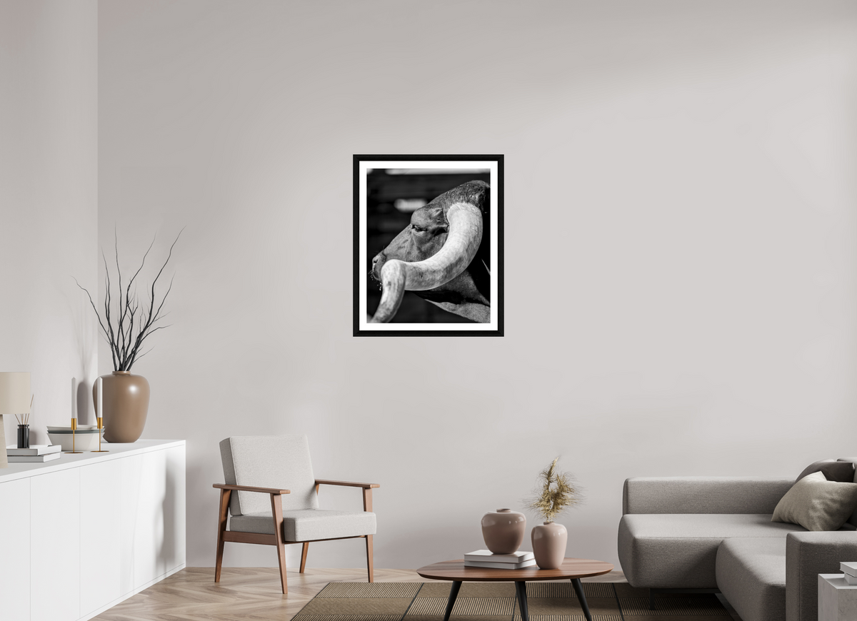 24 x 30″, B&W Print Inheritance